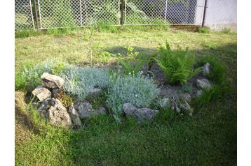 Slovākija Chata Ivachnová, Eksterjers